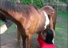 Phim sex người và ngựa địt nhau